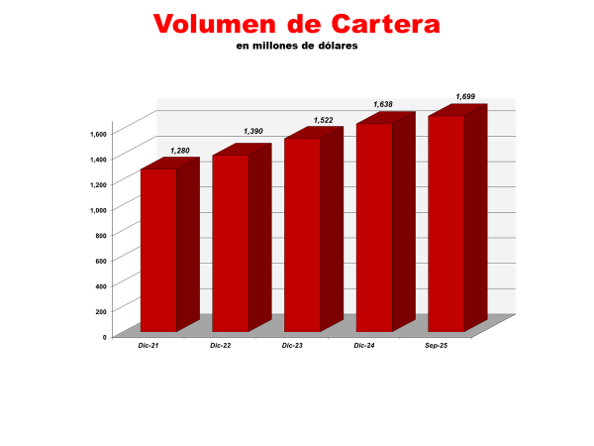 Indicadores Fnancieros