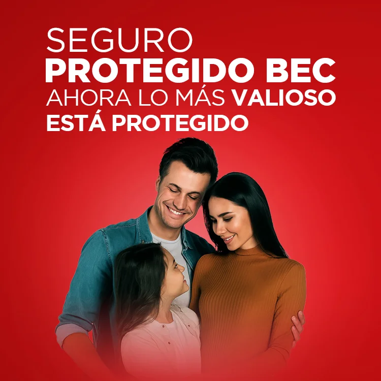 Seguros